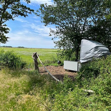 Hof Steinhuetten Schlafstrandkorb Westerhever Dış mekan fotoğraf